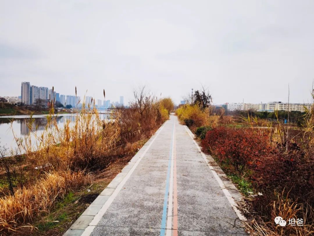 鼓励医护人员兼职,鼓励医护人员兼职说明什么