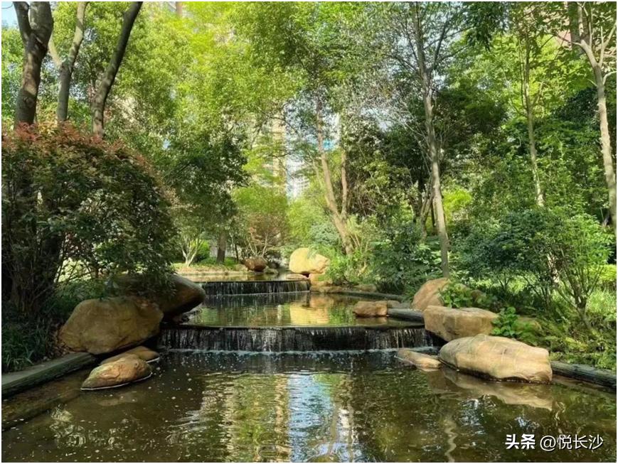 半年拿下35亿，硬核运达再次引领豪宅市场