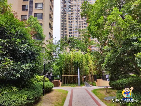 滨湖万科蓝山公区,滨湖万科蓝山容积率