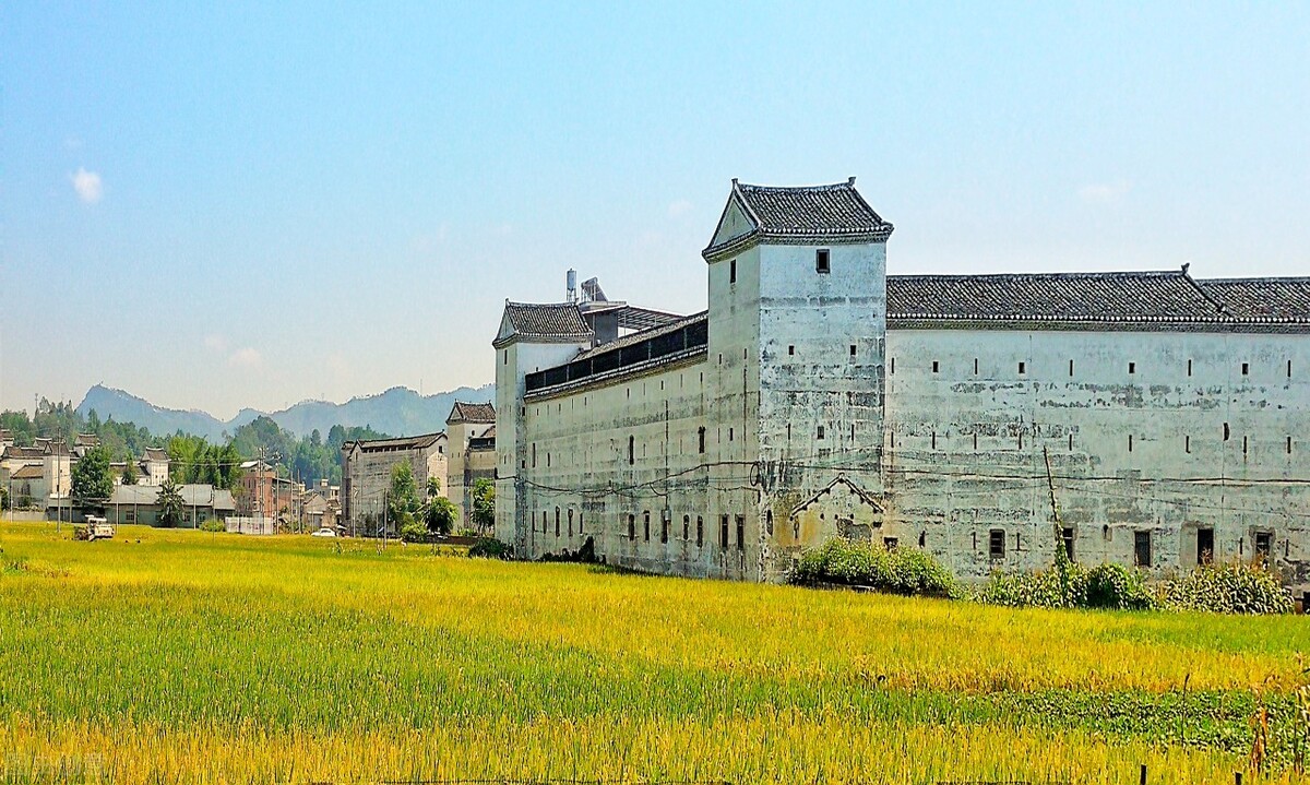 在广东创业去哪个城市好,广东旅居养老城市排名