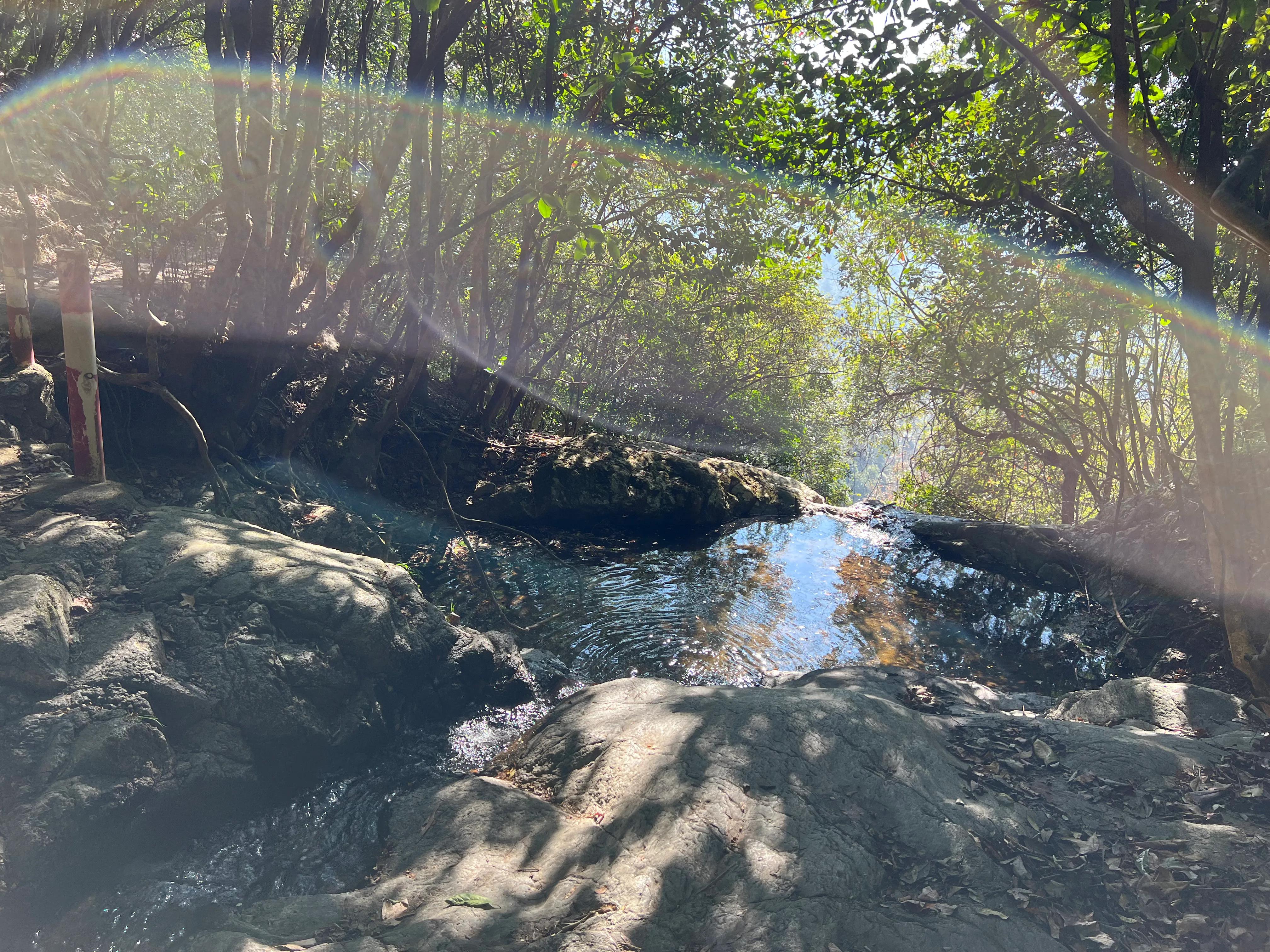 韶关新丰云髻山介绍,广东新丰云髻山旅游攻略