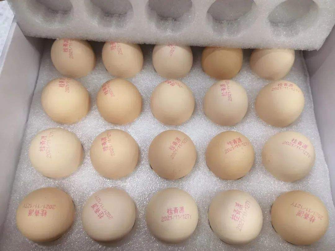 可生食鸡蛋的正确食用方法,达到可生食标准的鸡蛋可以生吃吗