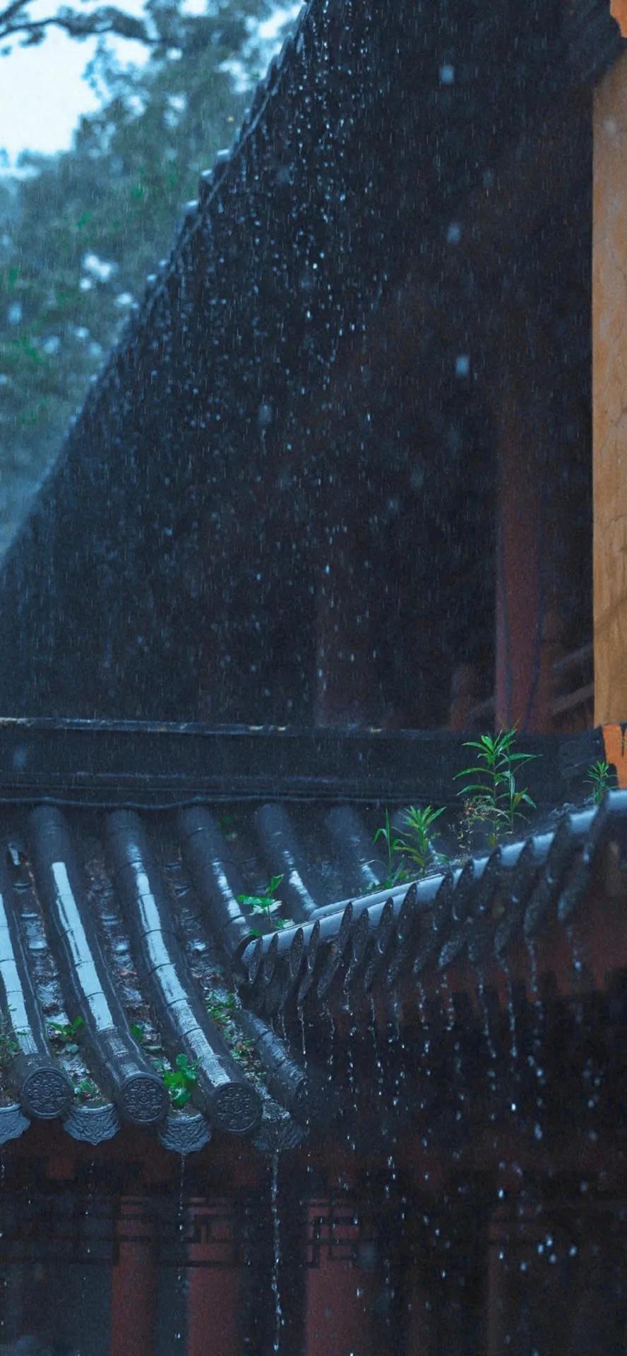 超高清海洋沙滩风景壁纸全屏,湛蓝的海水海滩风景高清壁纸