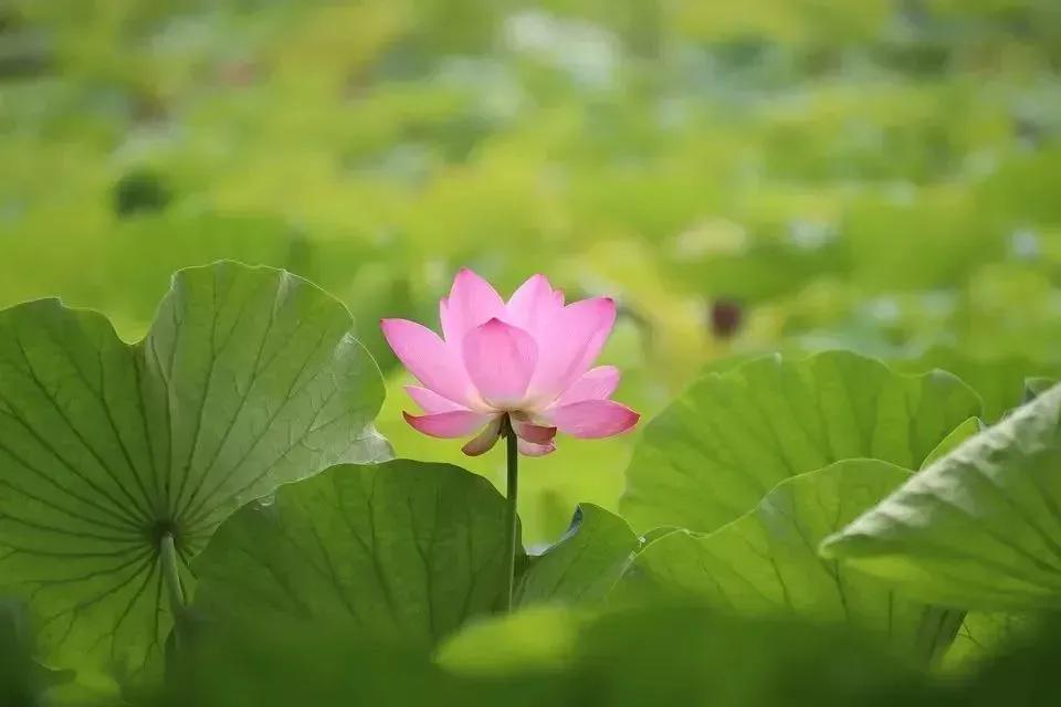 华山论道：寓意很好的八个汉字，代表八种人生智慧