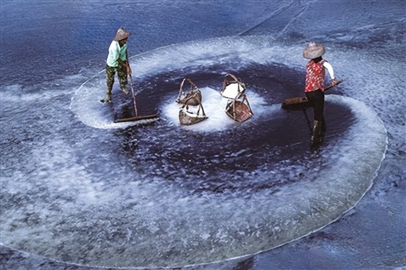 为什么古代的盐非常重要,古代盐那么贵为什么不烧海水