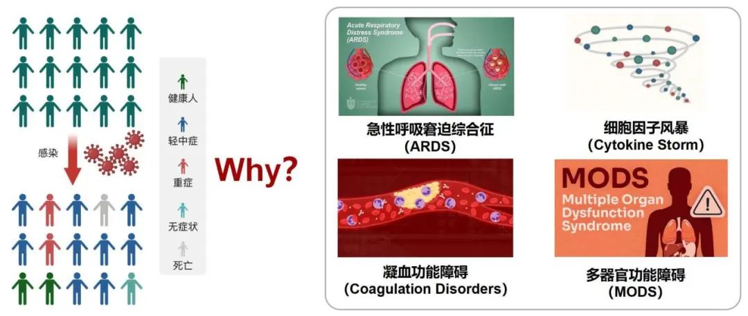 曹彬教授谈新冠,呼吸科曹彬
