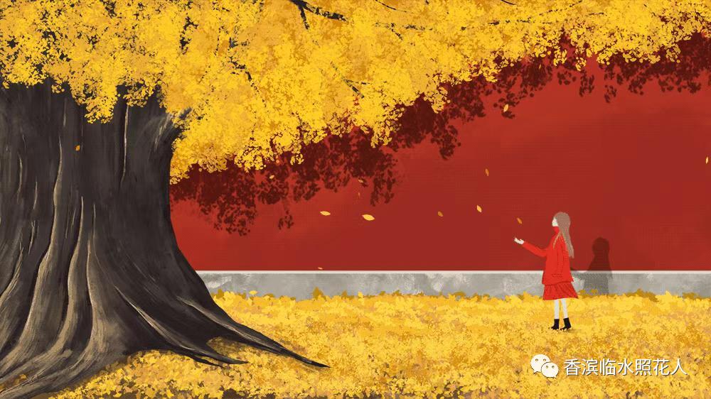 奋斗成就梦想作文500字以上,奋斗成就梦想作文一年级