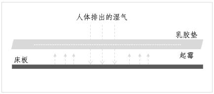 床品发霉如何清理,解决浴室发霉的小妙招