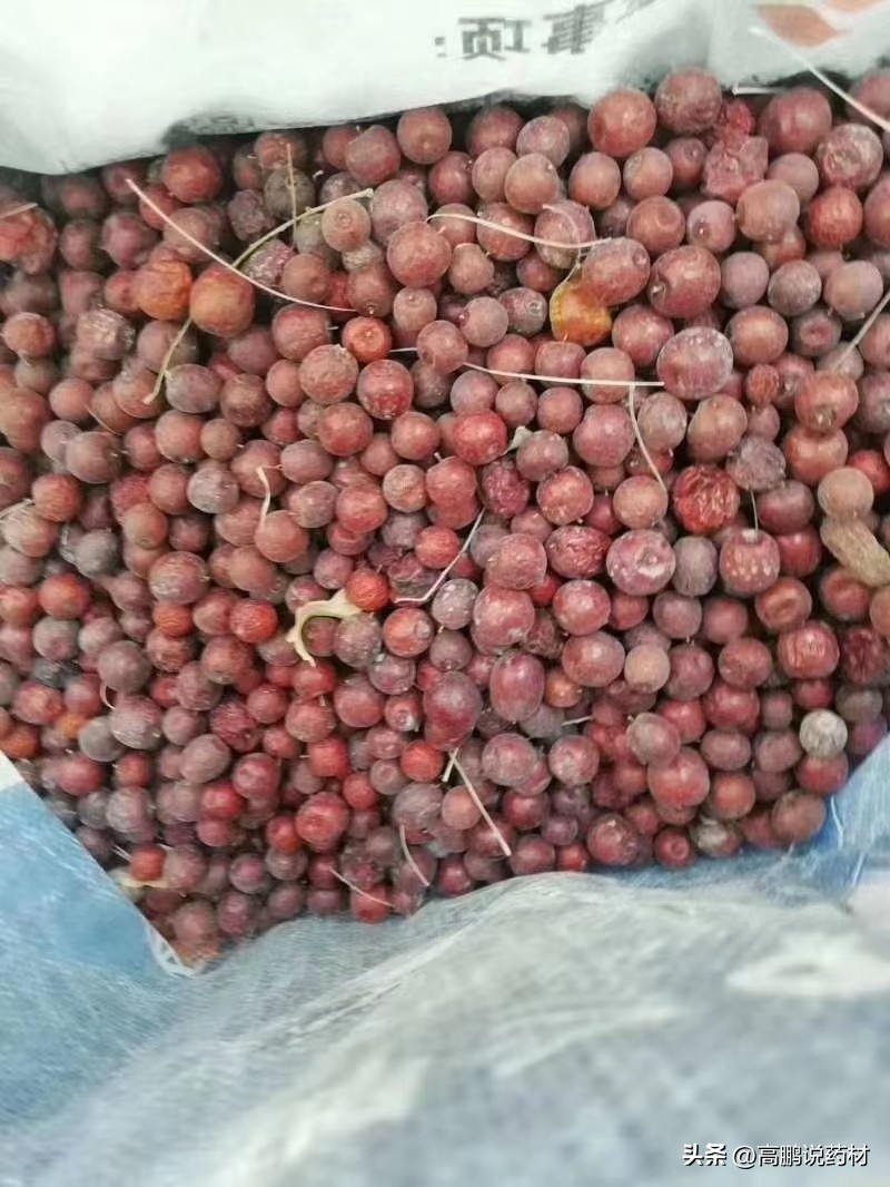 酸枣仁为什么不能大量种植,酸枣仁的种植与前景