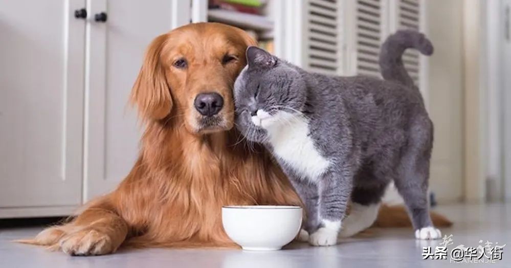 意大利2021大奖,意大利奖金