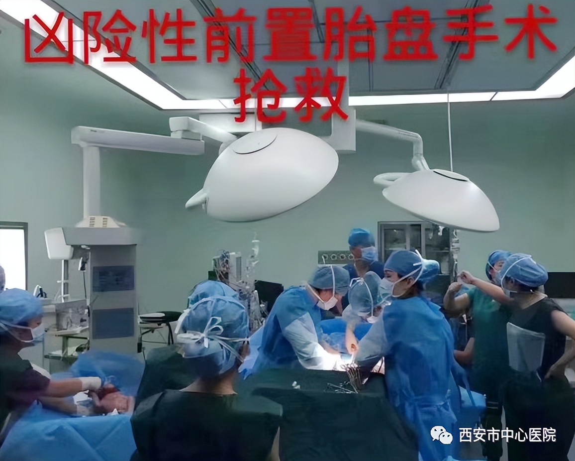 瀵绘壘鍘嗗彶鏂囧寲浼犳壙,杩藉鍘嗗彶瓒宠抗浼犳壙绾㈣壊鍩哄洜