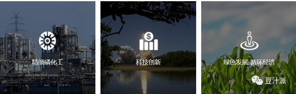 四川发展龙蟒股份,四川发展龙蟒集团股份公司股价