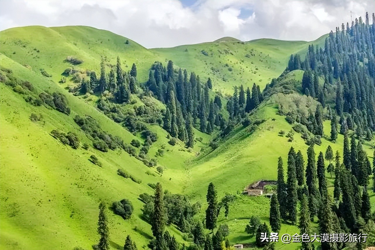 新疆的北疆南疆伊犁哪个最好玩,新疆的伊犁旅游区