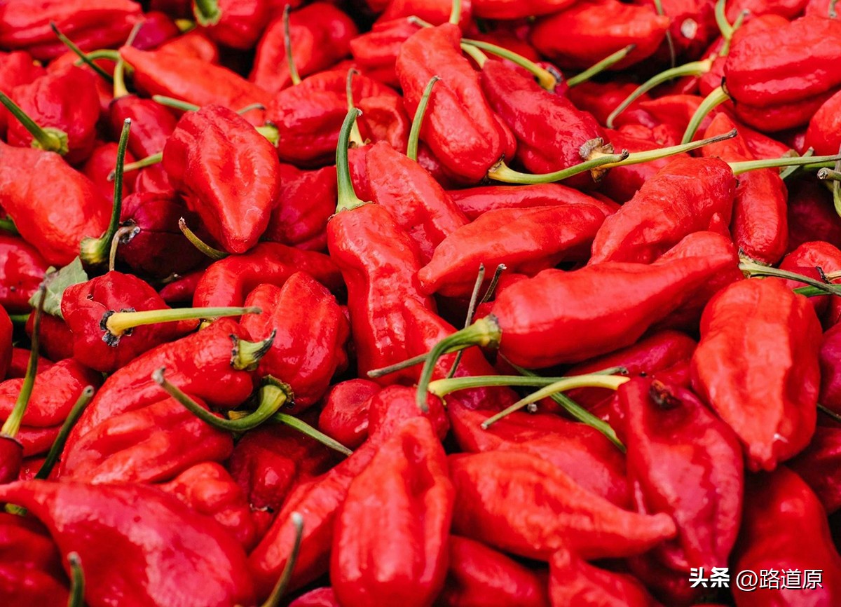 辣死一头牛的辣椒,挑战吃最辣的五种辣椒