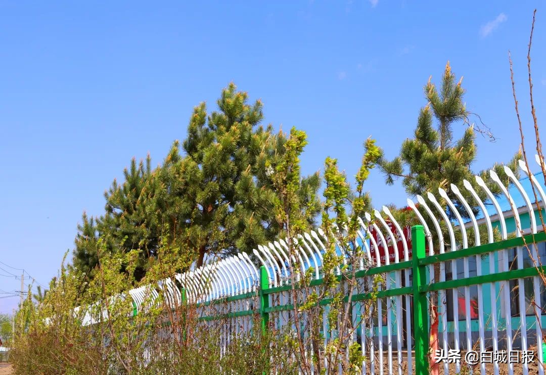 小村庄村支书,小村领头人小说