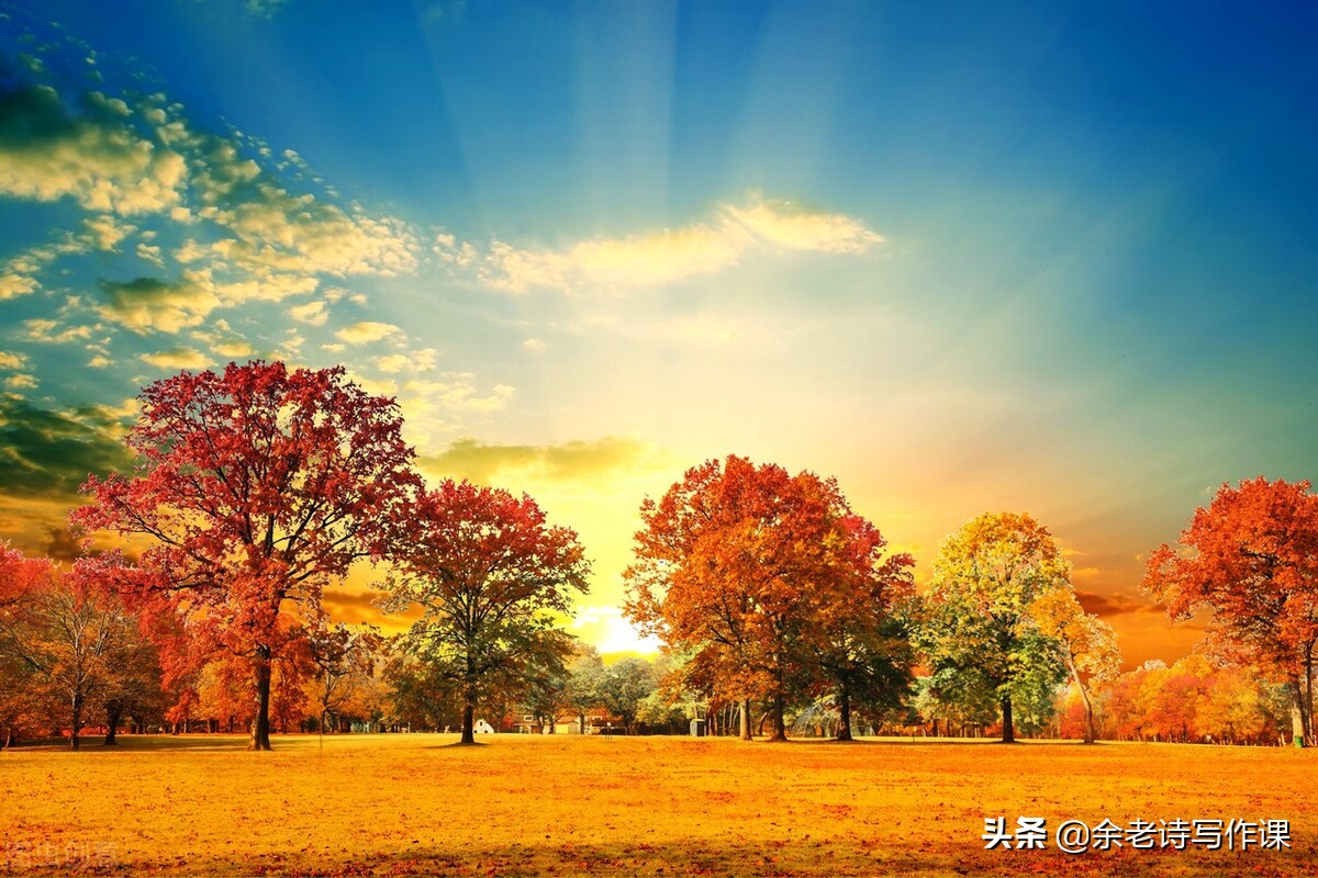 司马南，*共中**中央主办的光明日报报道莫言研究成果，你和粉丝咋看