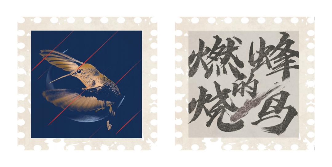 法医秦明小说燃烧的蜂鸟,法医秦明燃烧的蜂鸟好看么