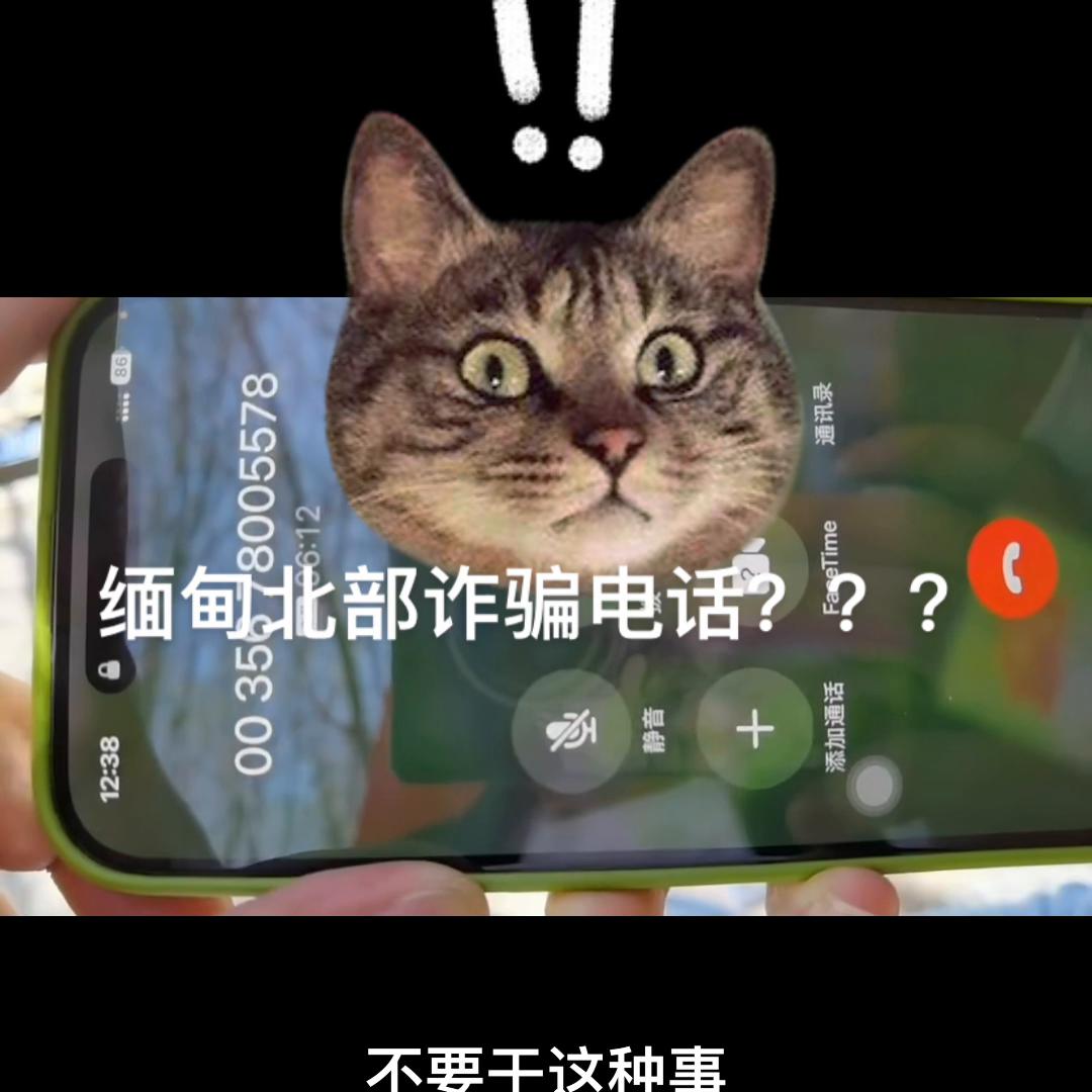 小姐姐套路网络诈骗,小姐姐遇上网络诈骗