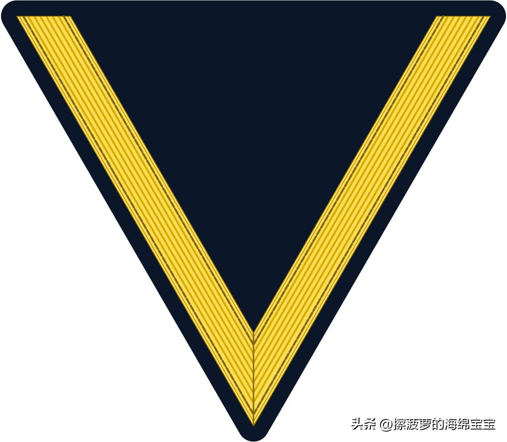 二战德国国防军医疗兵军衔标志