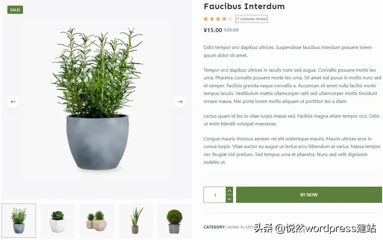 wordpress建站教程跨境电商,使用wordpress建站的操作过程