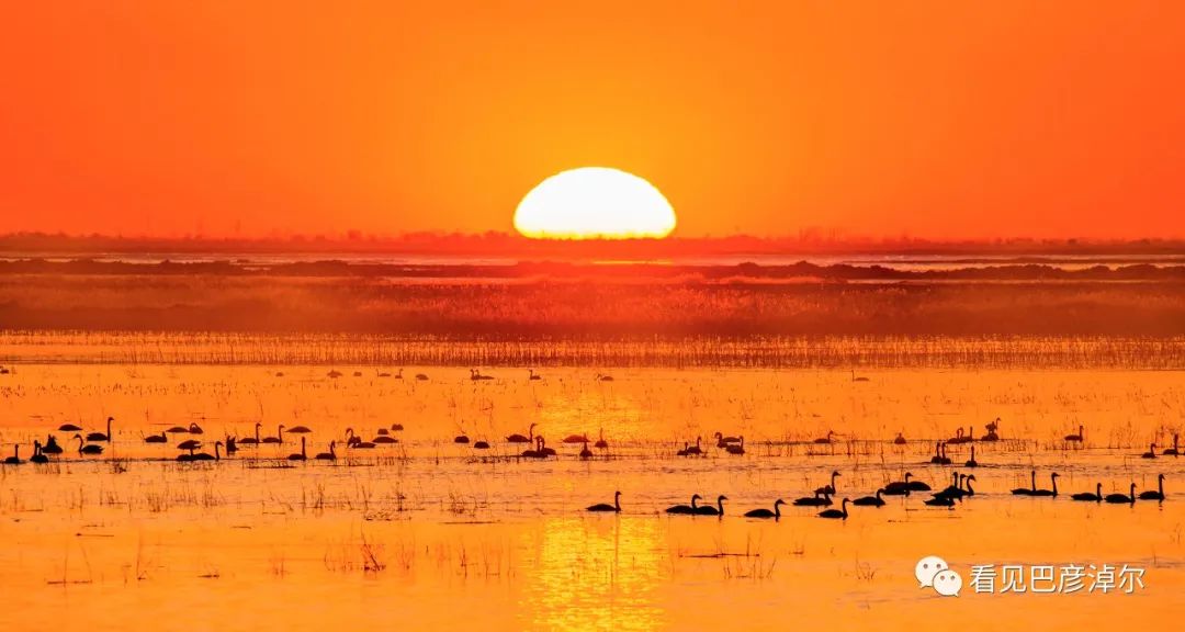 巴彦淖尔游玩推荐,巴彦淖尔旅游必去十大景点