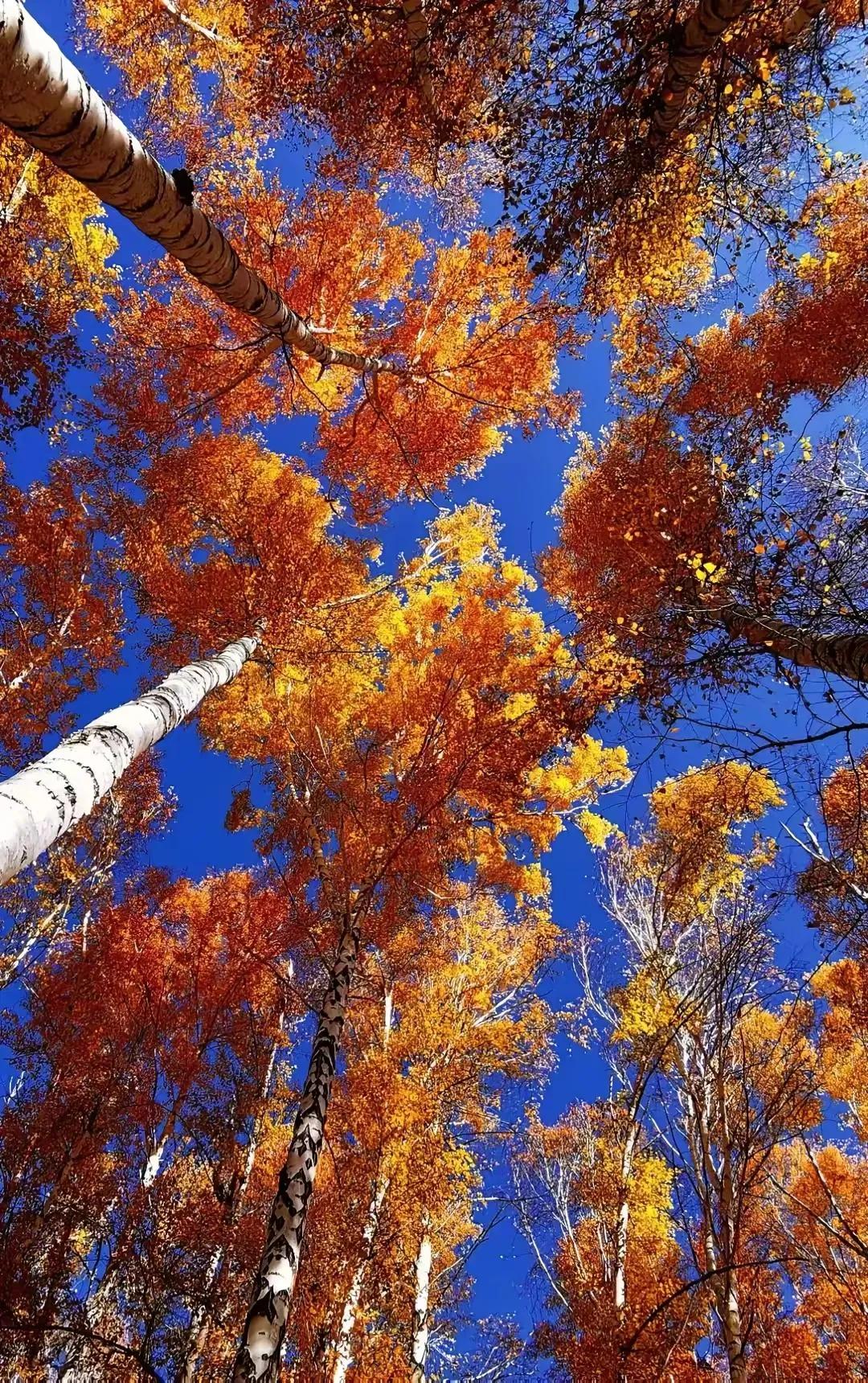 盘感与技术分析,盘感复盘的正确方法