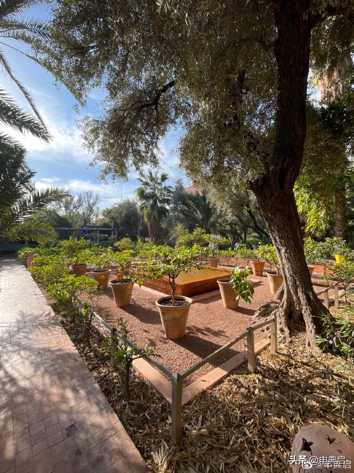 为什么摩洛哥人喜欢来中国留学,为什么摩洛哥人都来中国