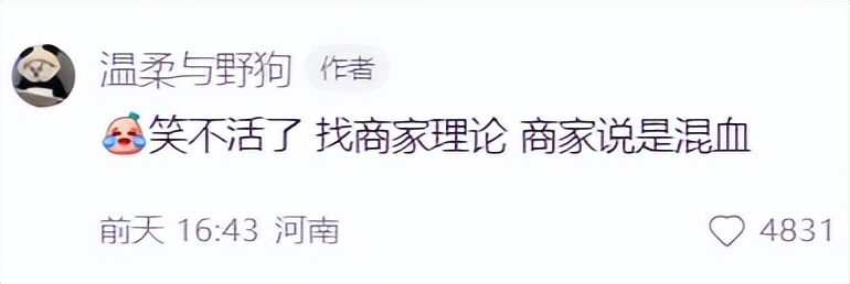 气死！拼夕夕150元买德牧，到手一看，山东德州牧鸡犬？？