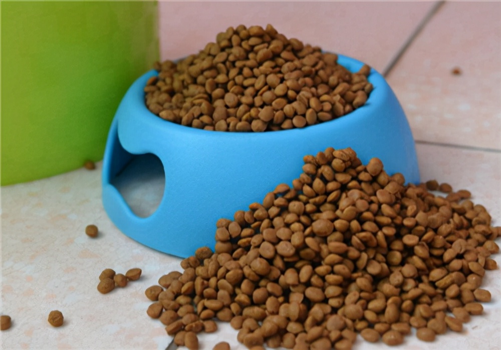 养狗拉稀的用什么药,养狗拉稀带血怎么回事