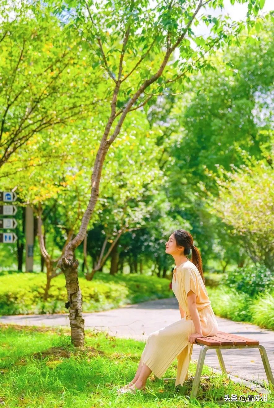 苏州赏花的地方,苏州三月中旬赏花去处