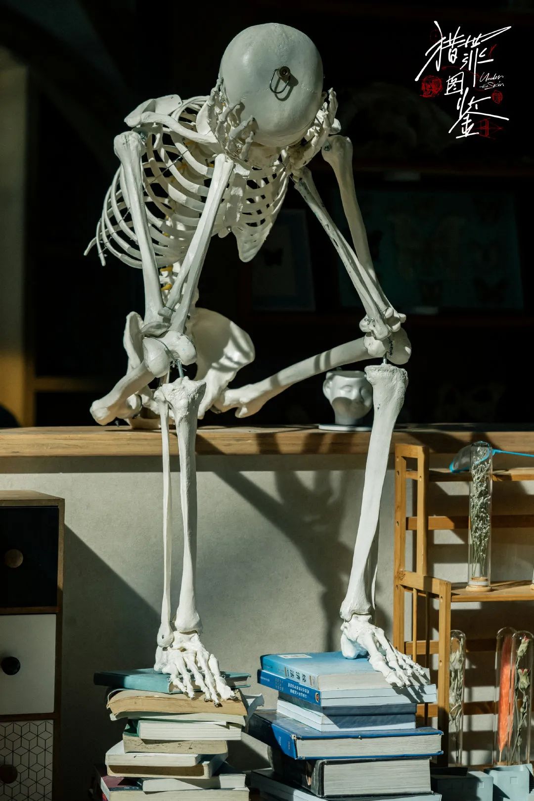 过去十年最好的100部电影,过去十年最好看的电视剧