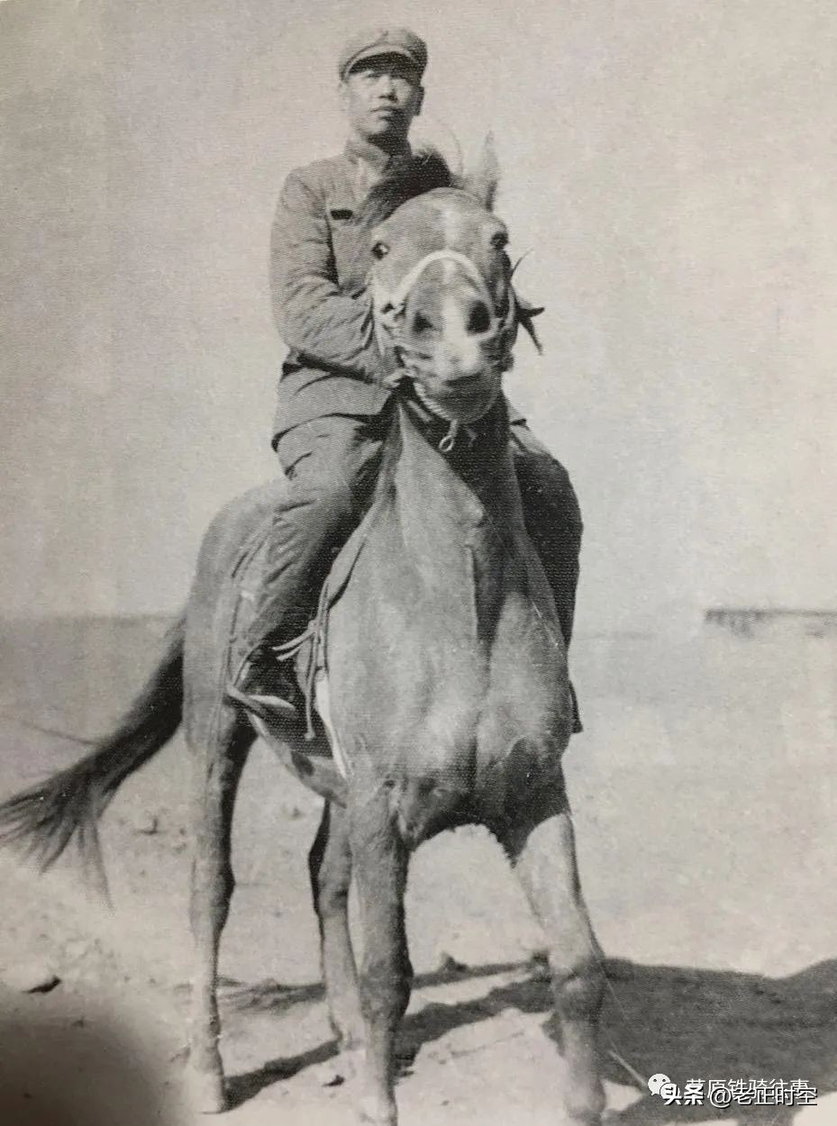 青藏平叛骑兵的最后一战,清军平定青海最血腥一战