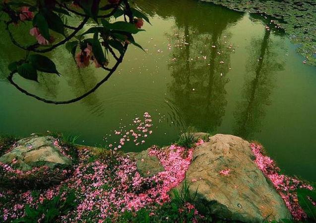 寂寞空庭春欲晚芸初,寂寞空庭春欲晚意难平
