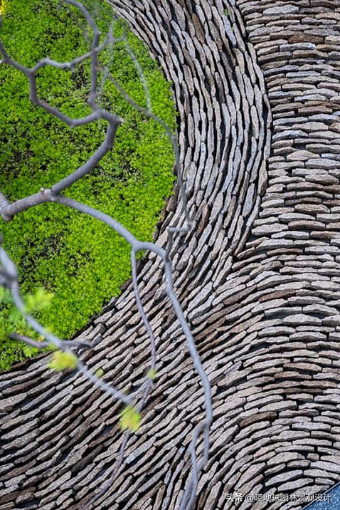 庭院景观设计和施工,北方别墅庭院绿化设计效果图大全