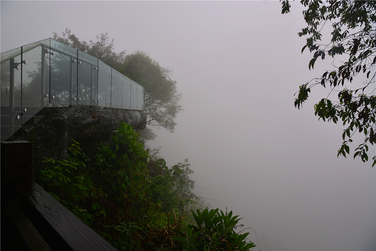 【重庆影像376】·铁山坪森林公园（202302）