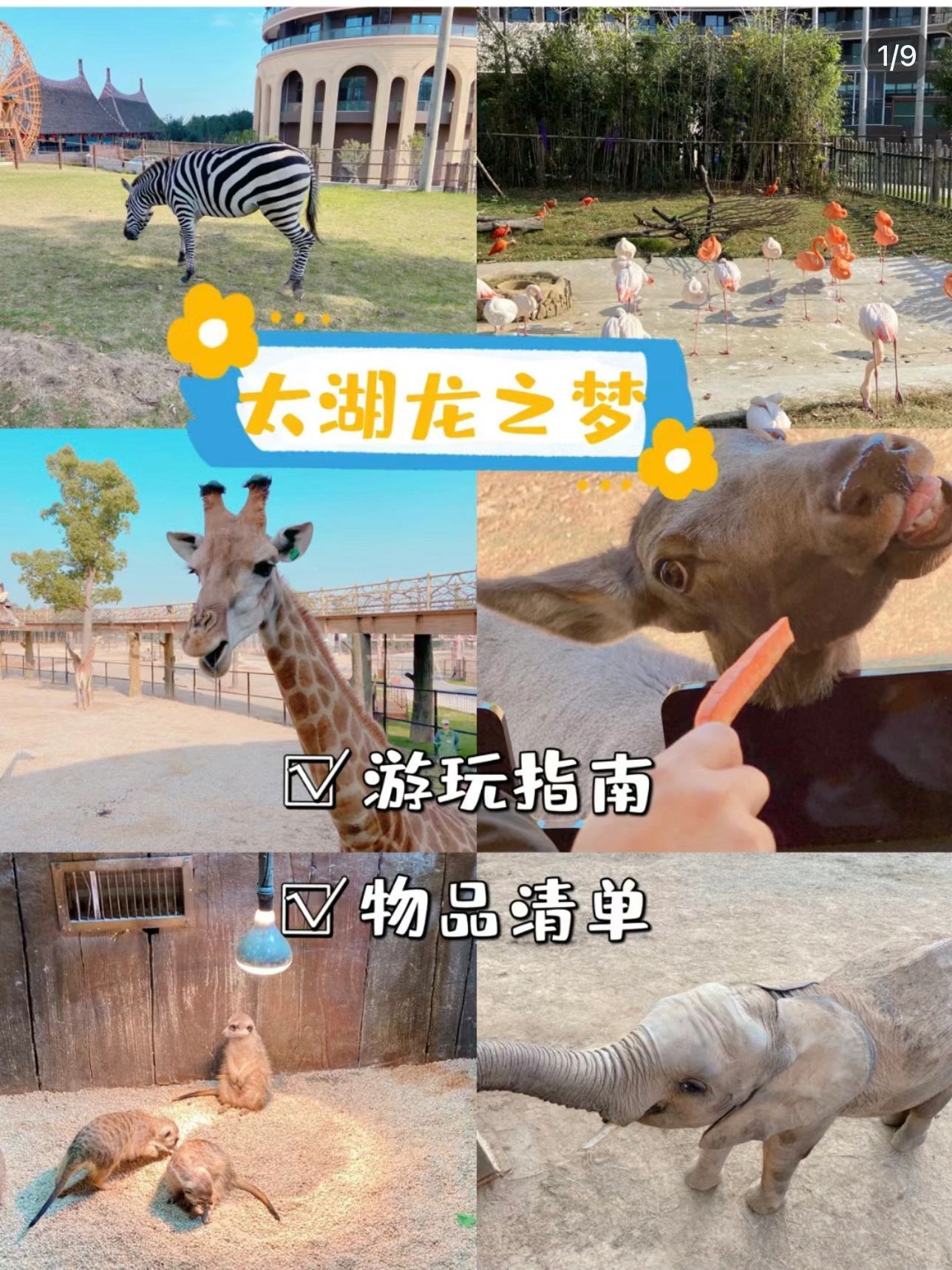 南京去桂林亲子旅行攻略,南京二日游最佳亲子路线