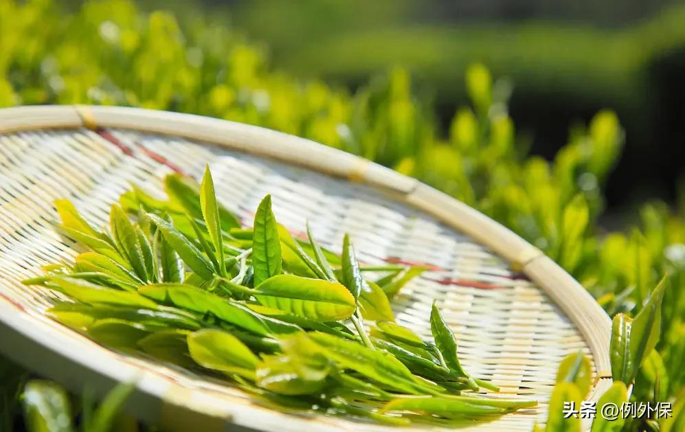 茶叶与咖啡的历史,咖啡和中国茶叶