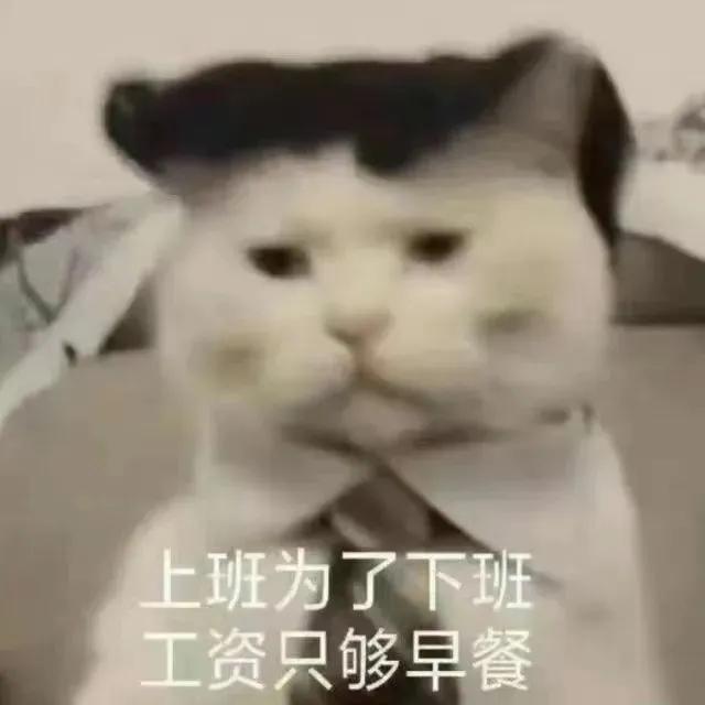 吐槽工作表情包,表情包我爱工作工作使我快乐