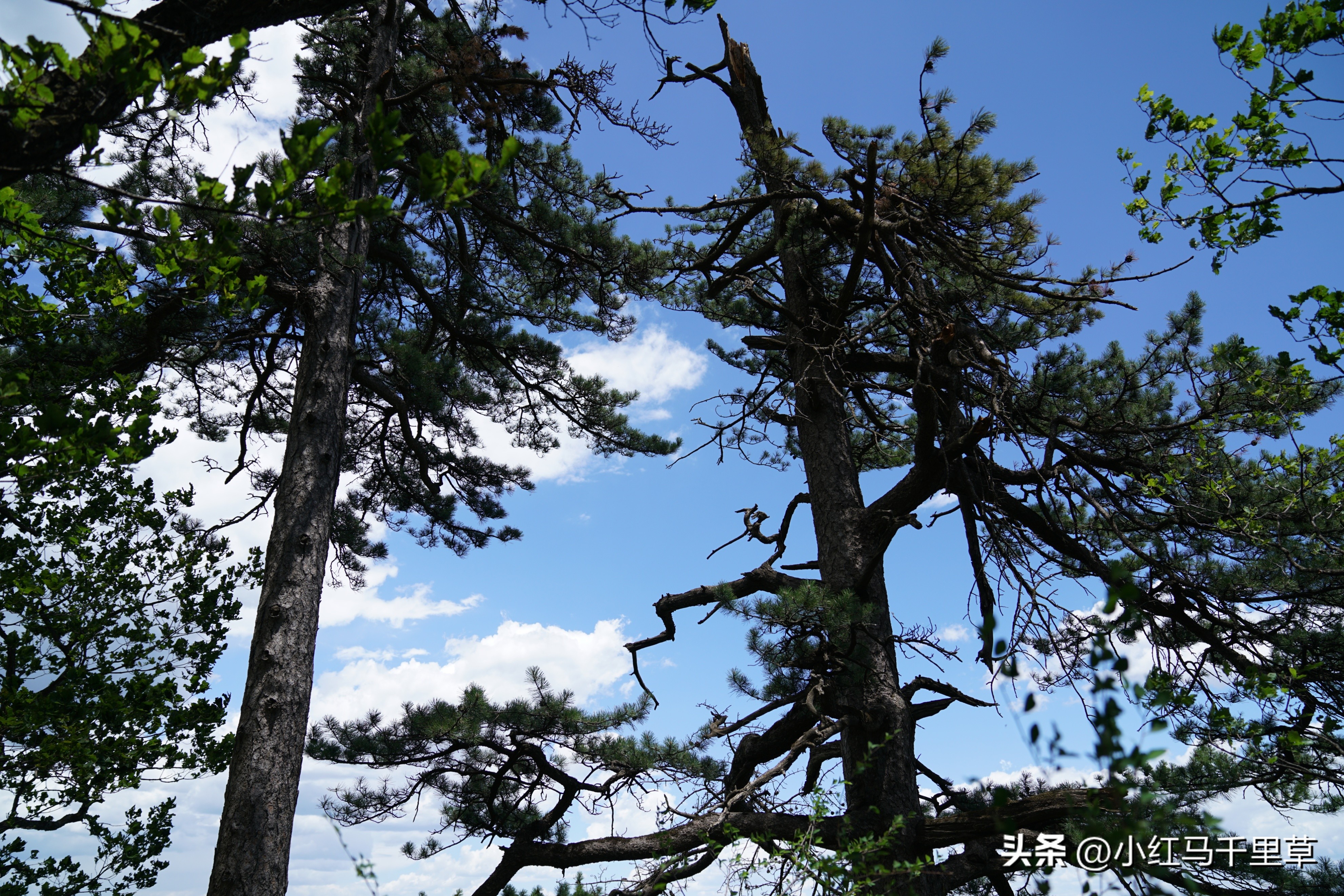 全程徒步登崆峒山最高山顶,第三次爬崆峒山