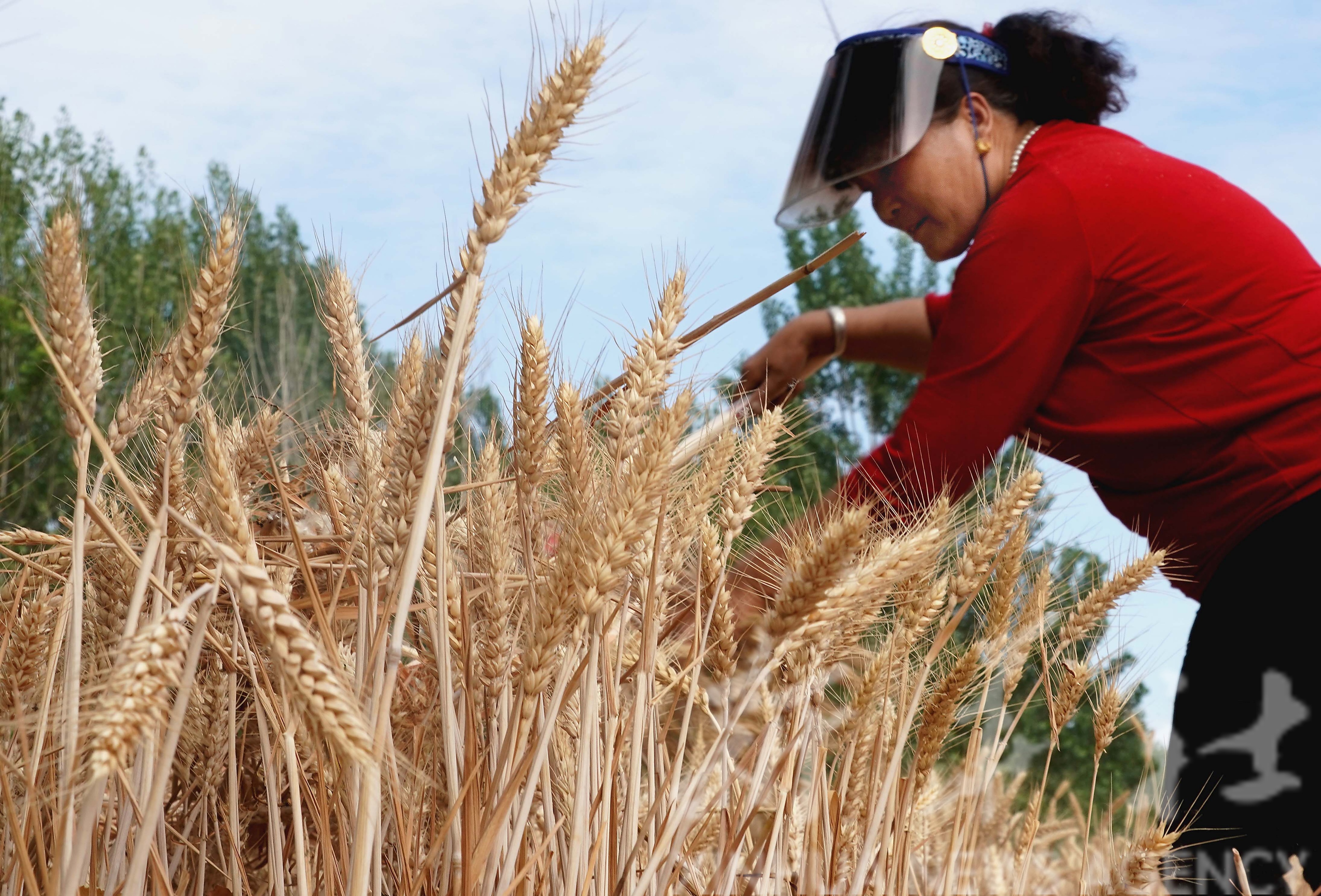 不帮忙别捣乱,不帮忙别添乱