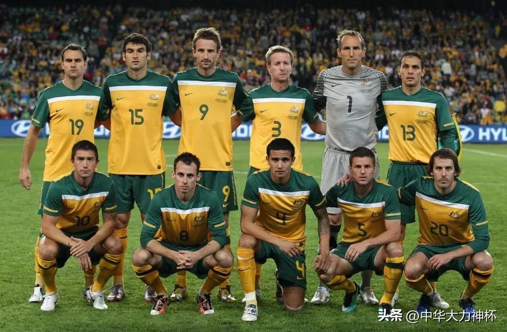 世界杯亚洲有几支球队参赛,02年世界杯亚洲参赛球队