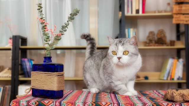 适合宝妈创业的小本生意有哪些,适合宝妈的小本创业暴利