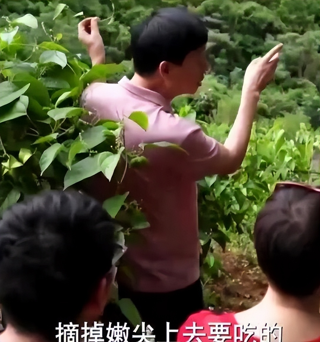 陈军创业,陈军现在做什么生意