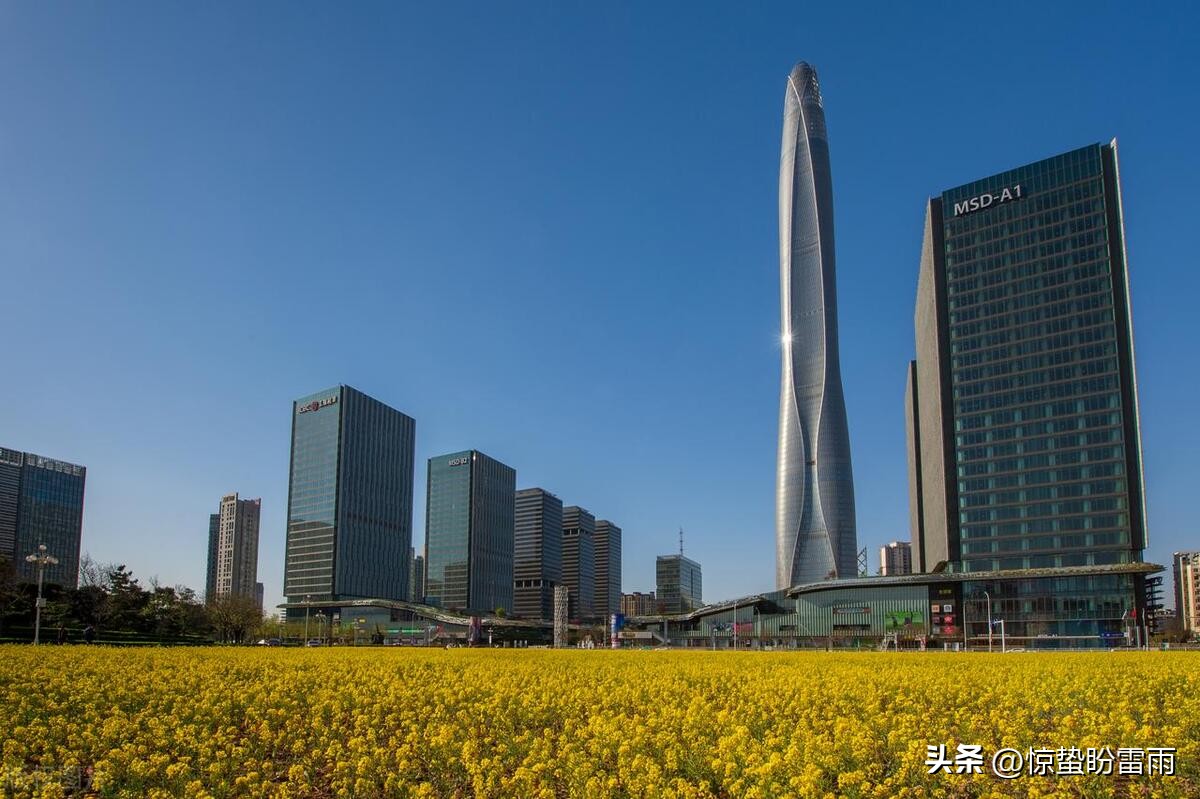 中超山东鲁能对天津泰达,天津泰达退出中超吗