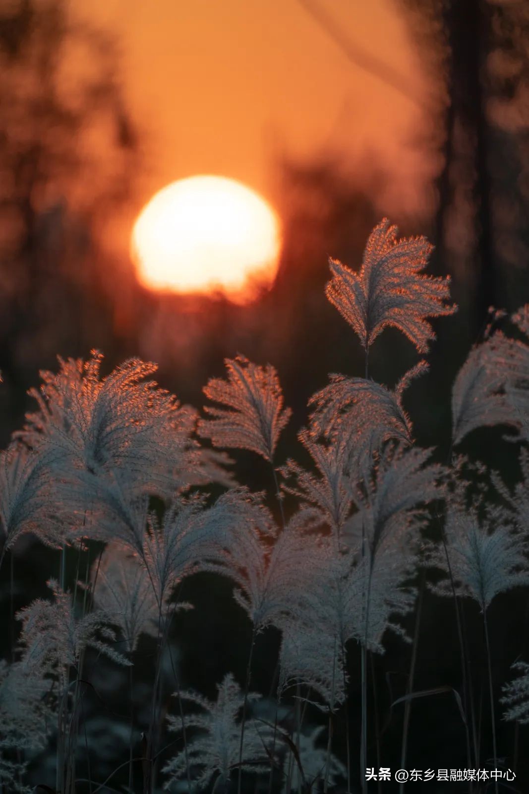 冬天最美的十种雅称,秋天的30个最美雅称你喜欢哪个