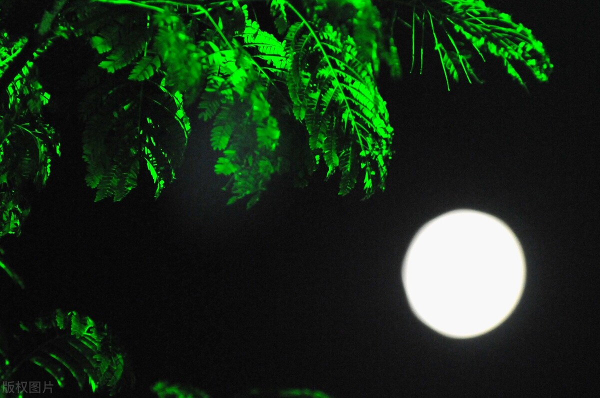 纪念中元节最佳诗词,有关中元节风俗文化的诗词