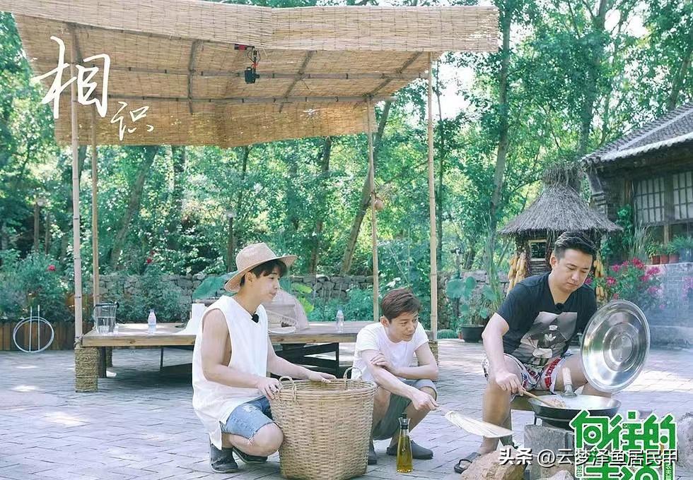 向往的生活不拍第8季了吗,向往的生活狗子们去哪了