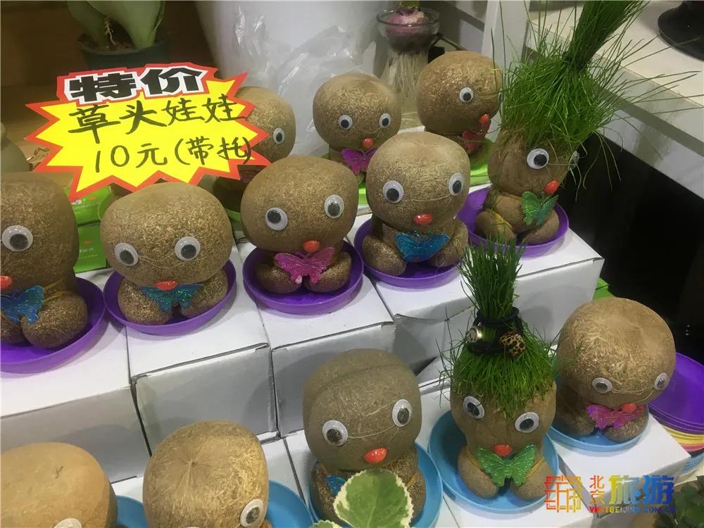 京南永清花卉批发市场,京南花卉批发市场