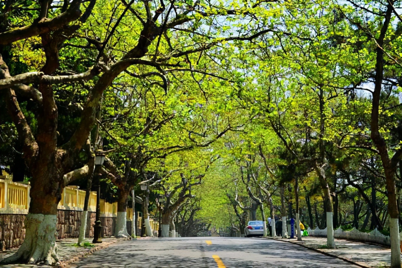 青岛人气景点盘点｜10个推荐景点及周边玩法攻略