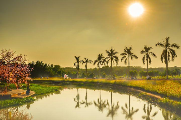 期货高手5秒周期交易技巧,期货高手的真实案例讲解